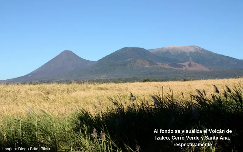volcan de santa ana cerro verde y volcan de izalco