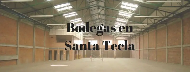 Bodegas en Santa Tecla