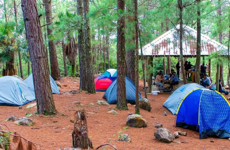 acampar-zona-boscosa-de-pinos-la-union-el-salvador