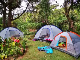 acampar-en-los-naranjos