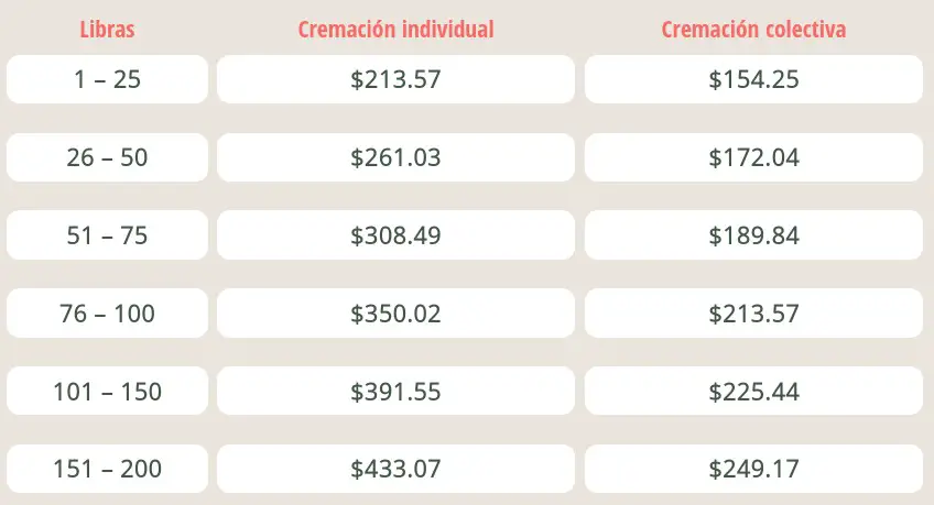 precios cremacion para mascotas kipets