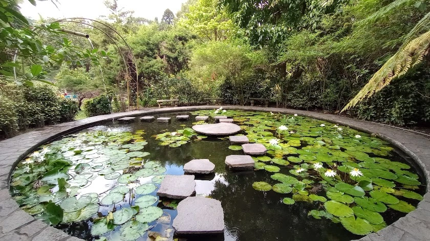 estanque en el jardin botanico la laguna