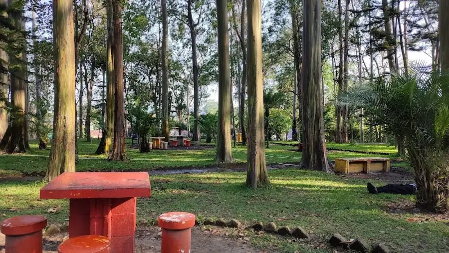 escena del parque maquilishuat y algunas bancas y mesas de cemento para sentarse